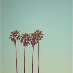 Meet your Posher, Mariah